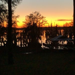 Meet your Posher, Collin